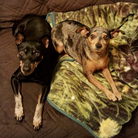 Welcome to my Page 😊💕 - Picture 4 of 8